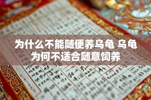 为什么不能随便养乌龟 乌龟为何不适合随意饲养