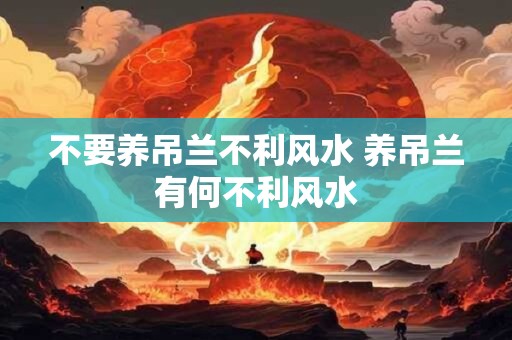 不要养吊兰不利风水 养吊兰有何不利风水