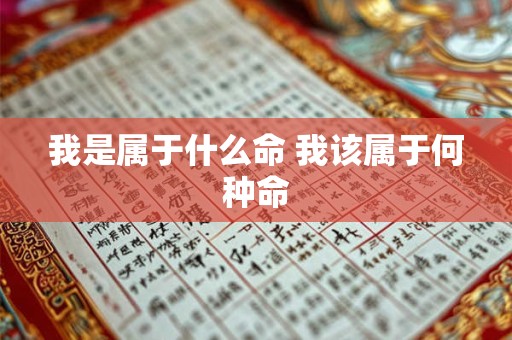我是属于什么命 我该属于何种命