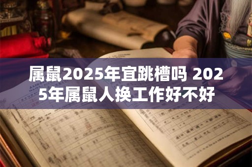 属鼠2025年宜跳槽吗 2025年属鼠人换工作好不好
