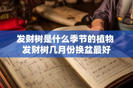 发财树是什么季节的植物 发财树几月份换盆最好