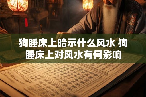 狗睡床上暗示什么风水 狗睡床上对风水有何影响