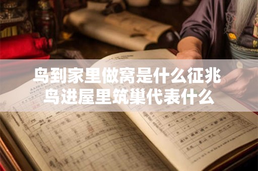 鸟到家里做窝是什么征兆 鸟进屋里筑巢代表什么