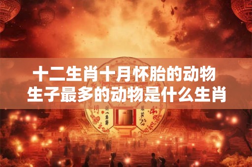 十二生肖十月怀胎的动物 生子最多的动物是什么生肖