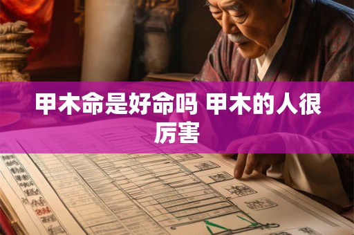 甲木命是好命吗 甲木的人很厉害