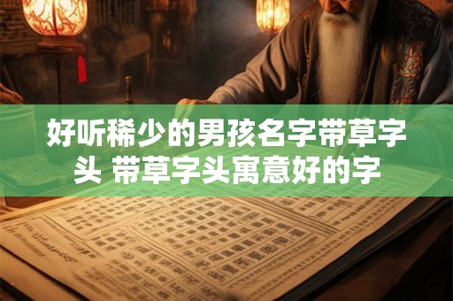 好听稀少的男孩名字带草字头 带草字头寓意好的字