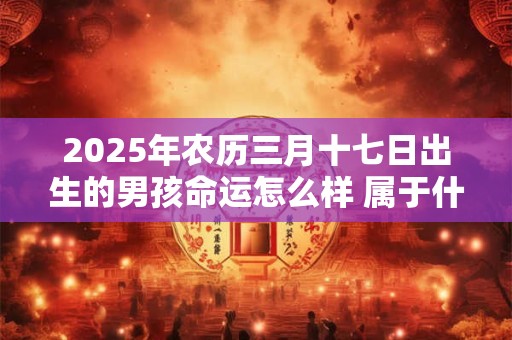 2025年农历三月十七日出生的男孩命运怎么样 属于什么命
