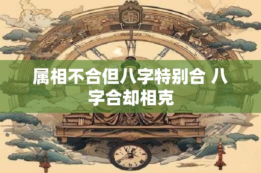 属相不合但八字特别合 八字合却相克