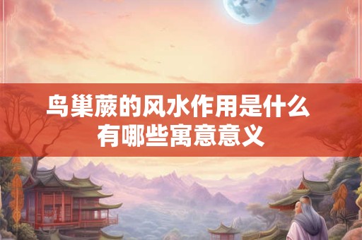 鸟巢蕨的风水作用是什么 有哪些寓意意义