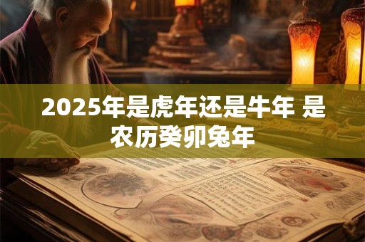 2025年是虎年还是牛年 是农历癸卯兔年