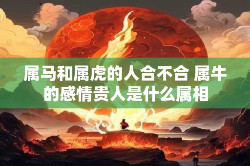 属马和属虎的人合不合 属牛的感情贵人是什么属相