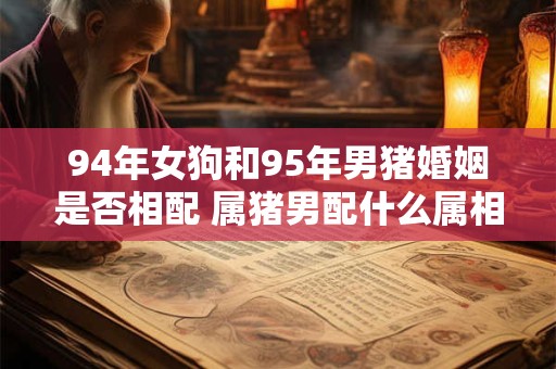 94年女狗和95年男猪婚姻是否相配 属猪男配什么属相好