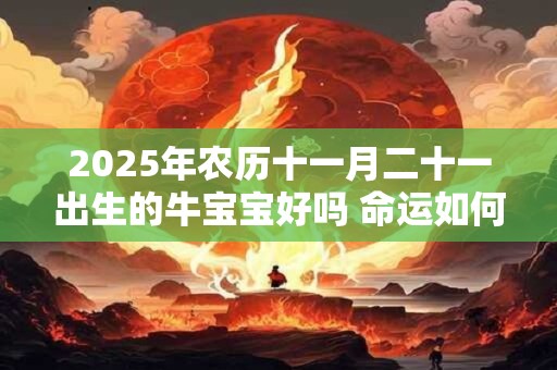 2025年农历十一月二十一出生的牛宝宝好吗 命运如何