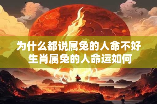 为什么都说属兔的人命不好 生肖属兔的人命运如何