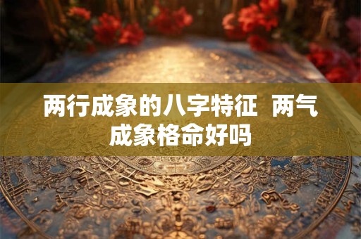 两行成象的八字特征  两气成象格命好吗