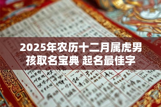 2026年农历十二月属虎男孩取名宝典 起名最佳字