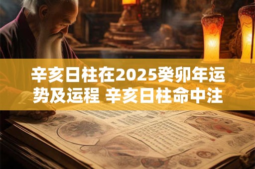 辛亥日柱在2025癸卯年运势及运程 辛亥日柱命中注定的配偶