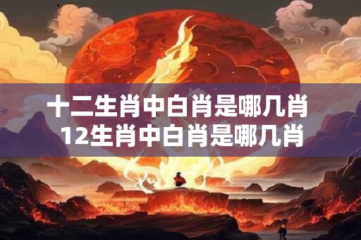 十二生肖中白肖是哪几肖 12生肖中白肖是哪几肖
