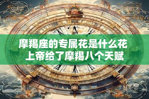 摩羯座的专属花是什么花 上帝给了摩羯八个天赋