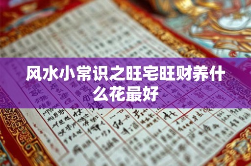 风水小常识之旺宅旺财养什么花最好