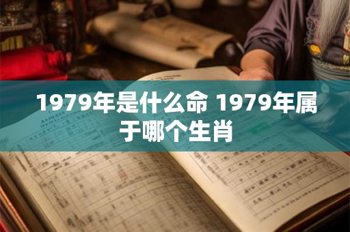 1979年是什么命 1979年属于哪个生肖