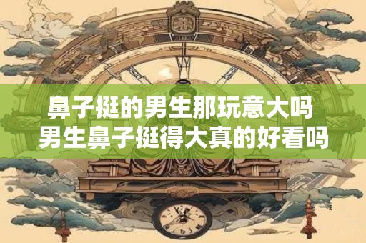 鼻子挺的男生那玩意大吗 男生鼻子挺得大真的好看吗