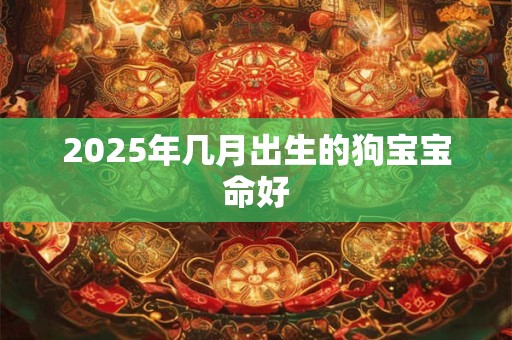 2025年几月出生的狗宝宝命好