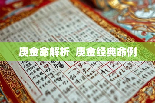 庚金命解析  庚金经典命例