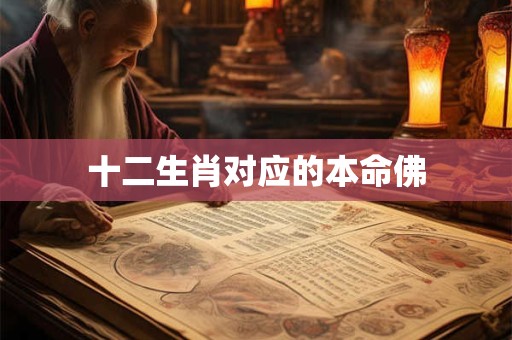 十二生肖对应的本命佛