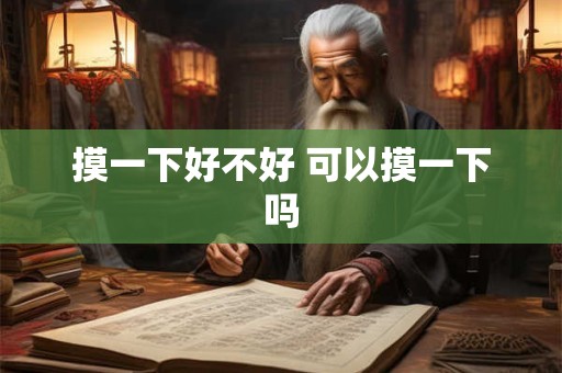 摸一下好不好 可以摸一下吗