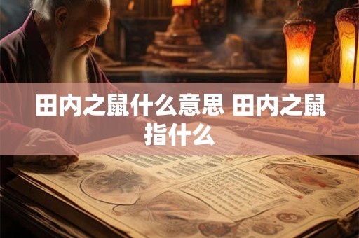 田内之鼠什么意思 田内之鼠指什么