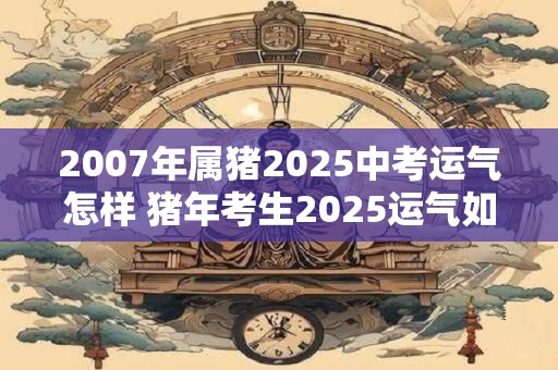 2007年属猪2025中考运气怎样 猪年考生2025运气如何