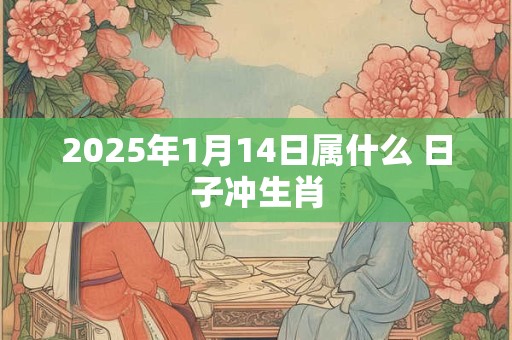 2025年1月14日属什么 日子冲生肖