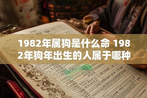 1982年属狗是什么命 1982年狗年出生的人属于哪种命