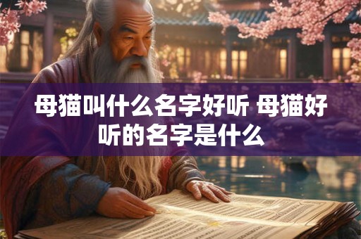 母猫叫什么名字好听 母猫好听的名字是什么