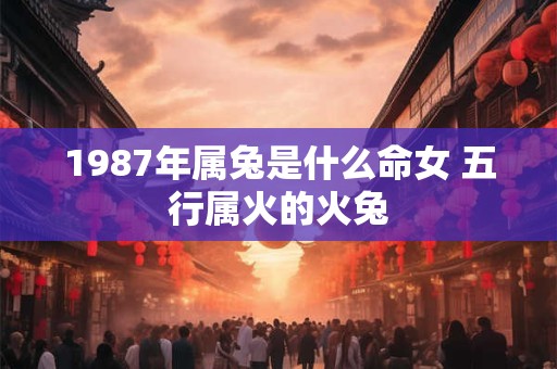 1987年属兔是什么命女 五行属火的火兔