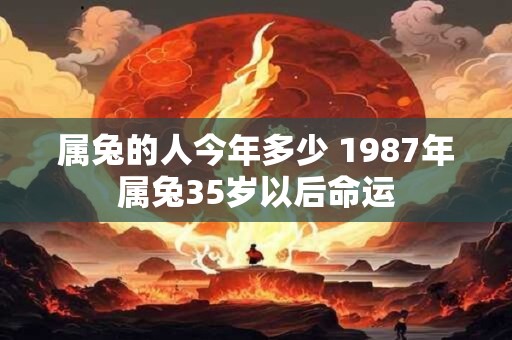 属兔的人今年多少 1987年属兔35岁以后命运
