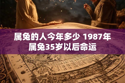 属兔的人今年多少 1987年属兔35岁以后命运