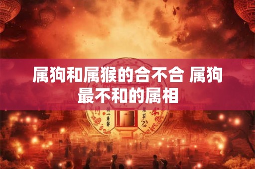 属狗和属猴的合不合 属狗最不和的属相