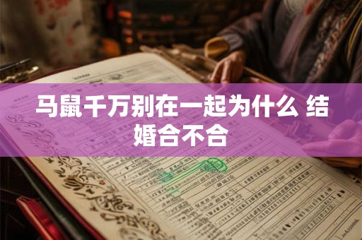 马鼠千万别在一起为什么 结婚合不合