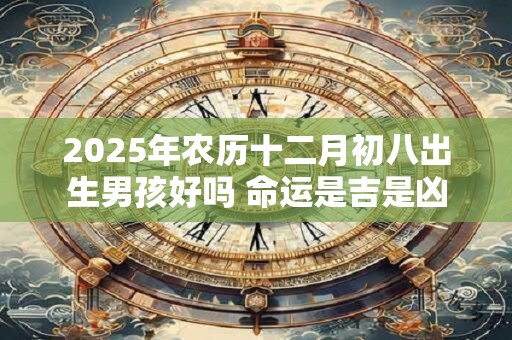 2026年农历十二月初八出生男孩好吗 命运是吉是凶 2026年农历十二月初八出生男孩好吗 命运是吉是凶