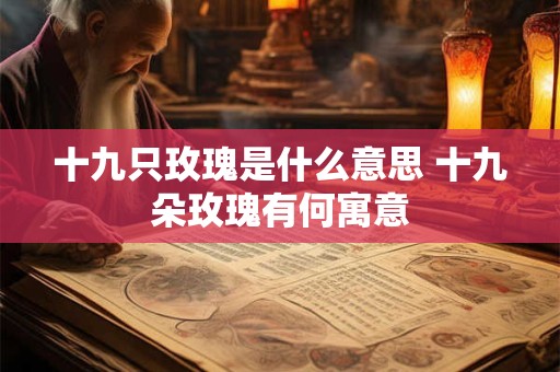十九只玫瑰是什么意思 十九朵玫瑰有何寓意