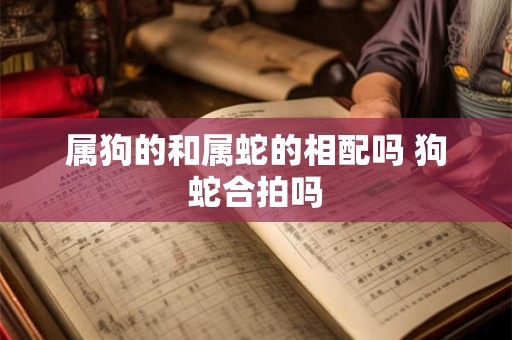 属狗的和属蛇的相配吗 狗蛇合拍吗