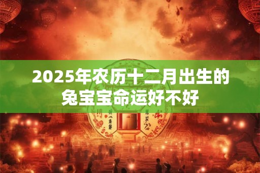 2025年农历十二月出生的兔宝宝命运好不好