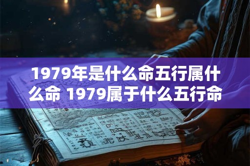 1979年是什么命五行属什么命 1979属于什么五行命