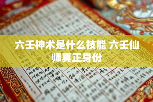 六壬神术是什么技能 六壬仙师真正身份