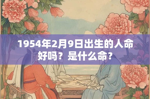 1954年2月9日出生的人命好吗？是什么命？