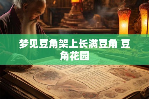 梦见豆角架上长满豆角 豆角花园