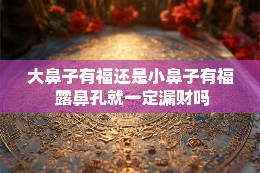 大鼻子有福还是小鼻子有福 露鼻孔就一定漏财吗