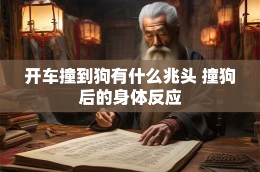 开车撞到狗有什么兆头 撞狗后的身体反应